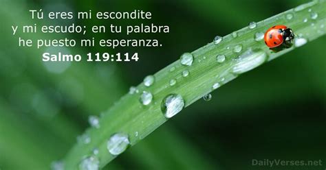 Vers Culos De La Biblia Sobre Escudo Dailyverses Net