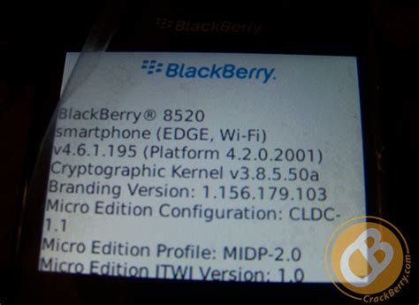 BlackBerry Curve 8520 In Live Pictures