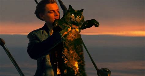 Wie Titanic Mit Einer Katze Aussehen W Rde Webfail Fail Bilder Und