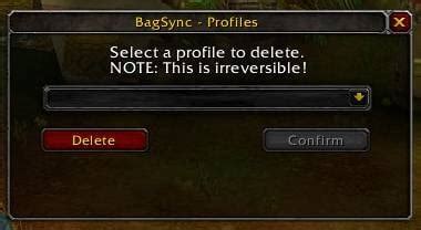 Bagsync Bags Bank Inventory World Of Warcraft Addons