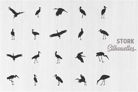 Stork Silhouette Set Stork Svg Bundle Graphic By Design Lands