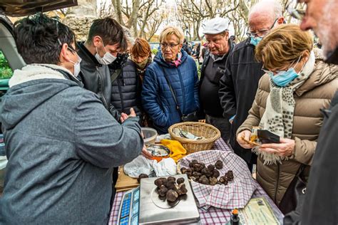 The truffle and its host, the oak tree - Tellerrand-Stories in English