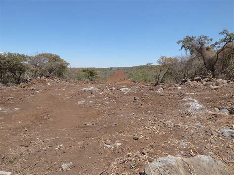 Cambio de Uso de Suelo en Terrenos Forestales Cóbano