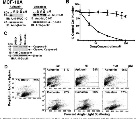 Figure From Mucin C Terminal Subunit Oncoprotein Is A Target For