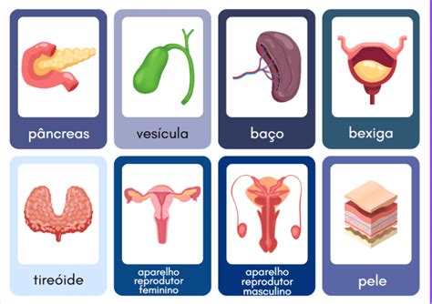 Jogo Da Mem Ria Rg Os Do Corpo Humano Educa Market