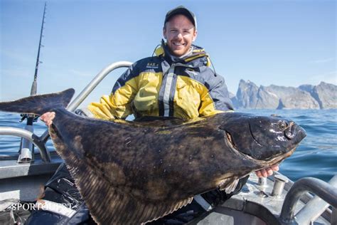 Excellent Fishing In The Lofoten Islands | Sportquest Holidays