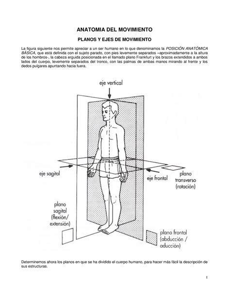 02Anat Mov Pdf ANATOMIA DEL MOVIMIENTO PLANOS Y EJES DE MOVIMIENTO