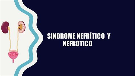 Síndrome nefrítico y nefrótico Escuela medica uDocz