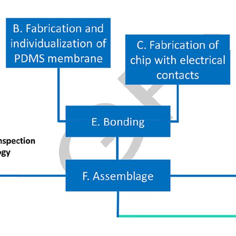 Schematics Of The Fabrication Steps Download Scientific Diagram