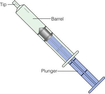 Parenteral Medication Flashcards Quizlet