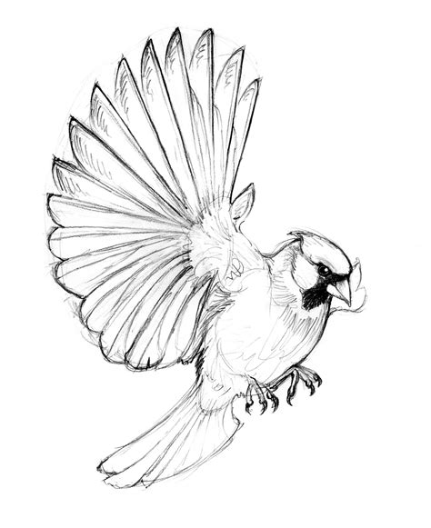 Blue Bird Flying Drawing at GetDrawings | Free download