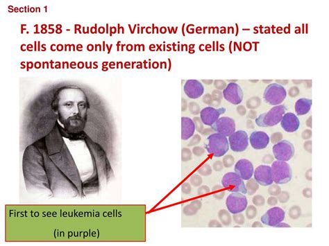 Ppt Biology Chapter Cellular Structure And Function Powerpoint