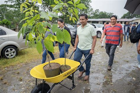 Iniciamos Bosque Futuro Gobierno Aut Nomo Descentralizado Municipal