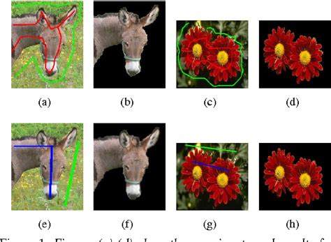 Figure From A Geodesic Framework For Fast Interactive Image And Video