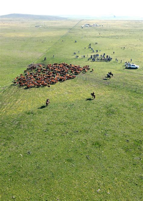 Revista Del Plan Agropecuario N Perteneciente A Julio De By