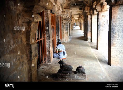 Inside in sri brihadisvara brihadeshwara temple ; Thanjavur ; Tamil Nadu ; India Stock Photo - Alamy