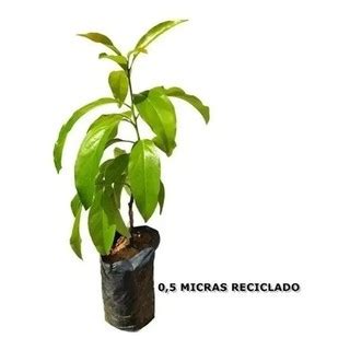 Saco Saquinho Plástico Para Mudas 500 Unidades 18x21 Shopee Brasil