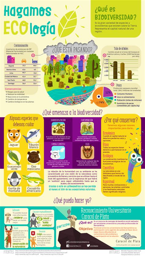 Biodiversidad Infografía Behance