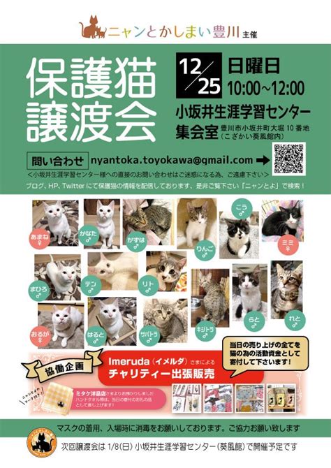 1225日保護猫譲渡会を開催します ニャンとかしまい豊川 活動ブログ