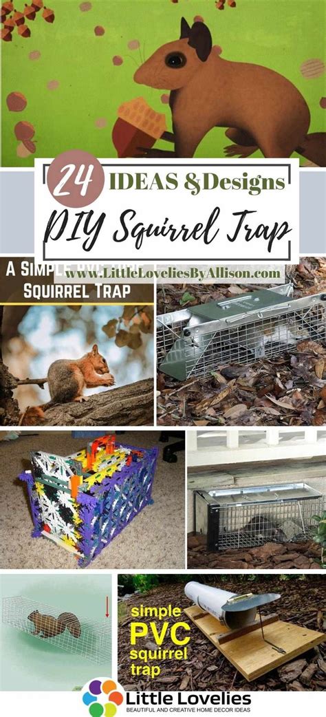 21 DIY Squirrel Trap – How To Catch A Squirrel | Squirrel, Animal traps ...