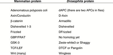 Judging A Protein By More Than Its Name GSK 3 Science S STKE