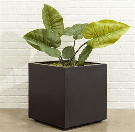 Black Planters, Modern Black Plant Pots, Boxes. Black Span, Cube Square, Large, Tall and Skinny ...