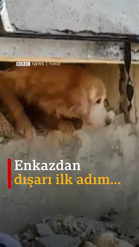 Bbc News T Rk E On Twitter Portekizli Arama Kurtarma Ekibi Antakya