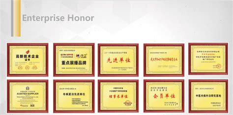 Certificate Honour Wuhan Huawei Technology Co Ltd