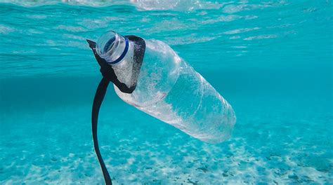 Plastik Im Meer Heinrich B Ll Stiftung