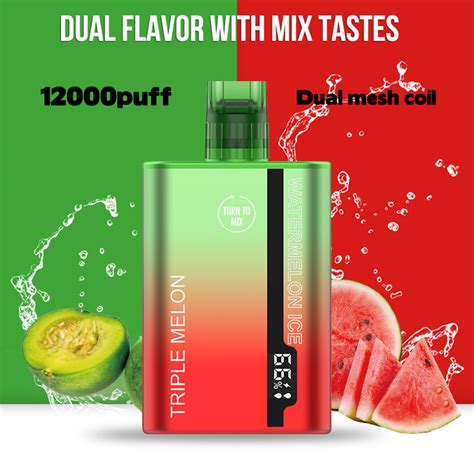 Shenzhen Wholesale Cookies 12000 Puffs One Time Dual Flavors 2 In 1