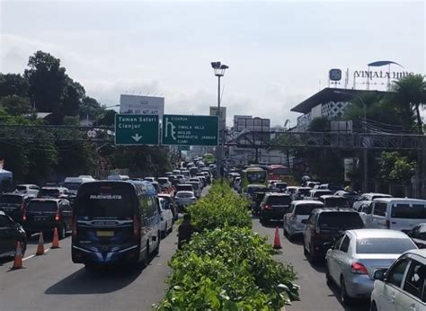 Hari Ini Kendaraan Masuk Kawasan Puncak Bogor Okezone Megapolitan