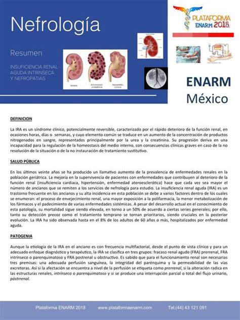 Nefrología Insuficiencia renal aguda intrínseca y nefropatías uDocz