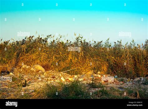 Rural Flytipping Hi Res Stock Photography And Images Alamy