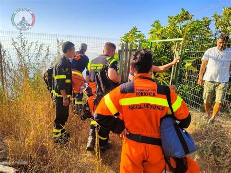 Incendio Al Monte Cotto Domate Le Fiamme Con Lintervento Dell