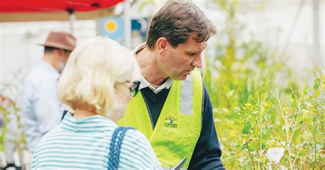 Hornsby Shire Councils Native Plant Giveaway Return