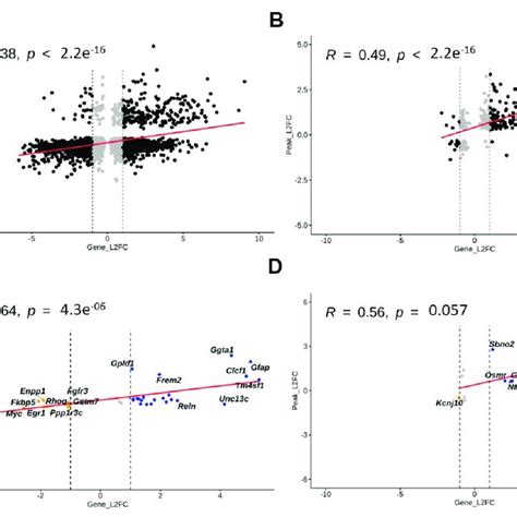 Chromatin Accessibility Profile Of Differentiating Astrocytes Under