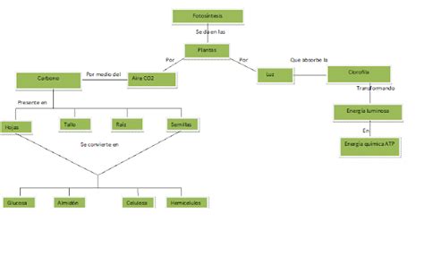 Cuaderno de Biología 3 Monsserrat Martínez: Mapa conceptual de la fotosíntesis