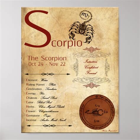 ZODIAC SCORPIO Birth Sign POSTER | Zazzle.com