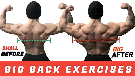 Best Back Perfect Exercises To Build Back Muscle Back Exercises Youtube