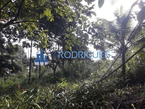 Terreno Ilha à Venda Ilha do Tanque em Barra Grande Frente Praia e