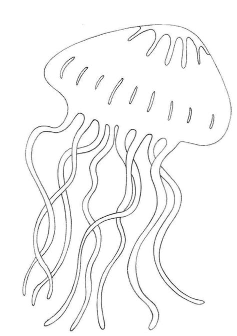 Раскраски раскраска медуза Раскраски для развития раскраска медуза