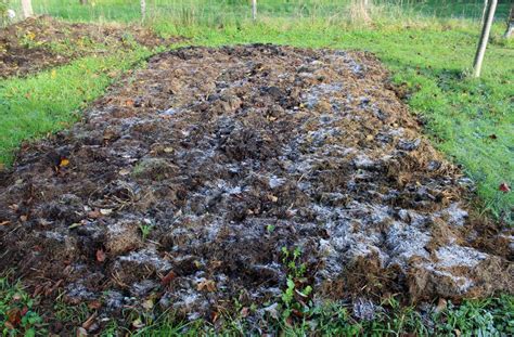 Quand Et Comment Fertiliser Avec Des Engrais Naturels