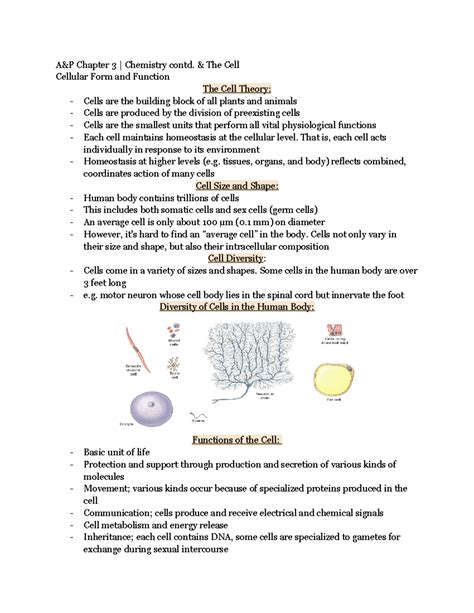 A&P Chapter 3 - Lecture notes 3 - A&P Chapter 3 | Chemistry contd