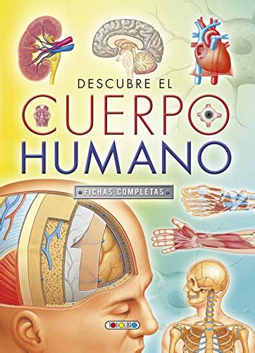 Descubre El Cuerpo Humano Spanish Edition Equipo De Todolibro