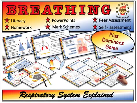 Breathing And The Respiratory System Explained Fully Resourced Lesson