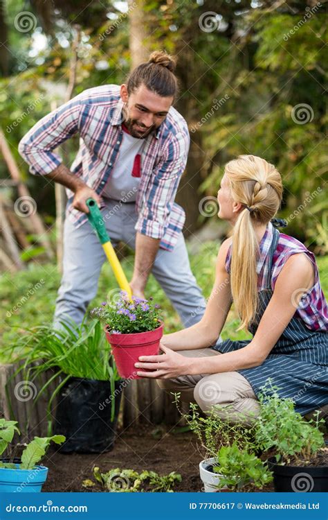 Jardineiro Felizes Que Plantam Plantas Em Pasta No Jardim Imagem De