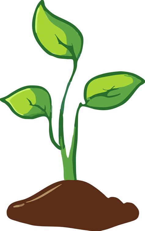 Sprout png graphic clipart design 23258393 PNG