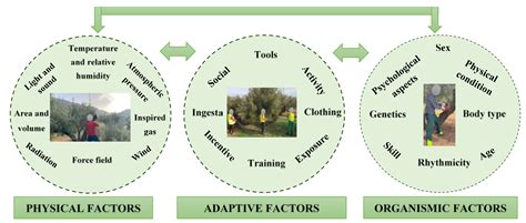 Agronomy Free Full Text Musculoskeletal Disorders In Agriculture A