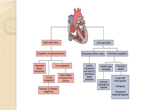 Pediatric Cardiac Lecture Youtube