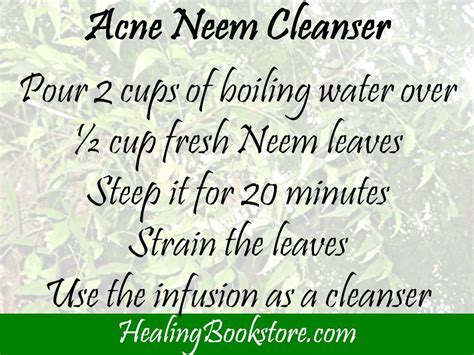 Herbal Remedies For Natural Acne Treatment Healing Bookstore